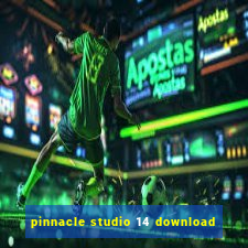 pinnacle studio 14 download